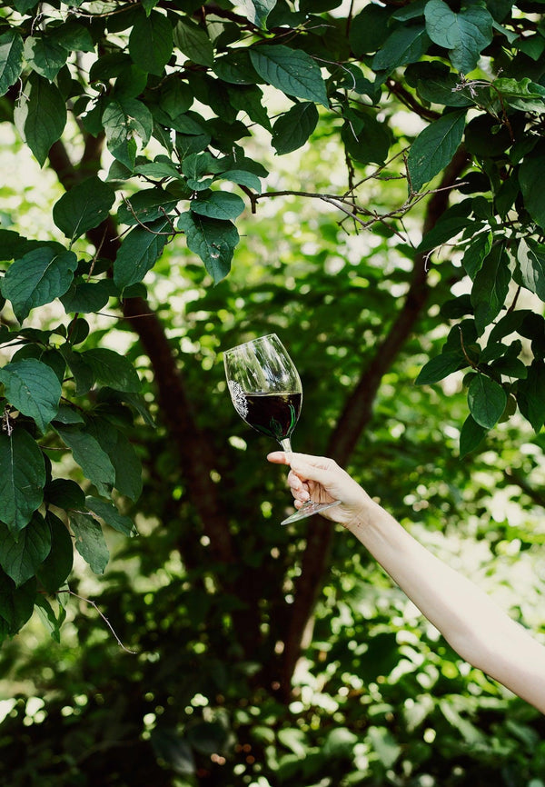 ¿El cambio climático impacta la producción de vino? - Wine.com.mx