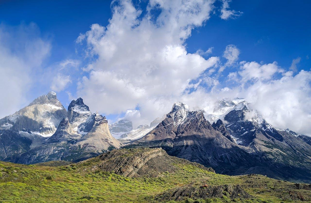 Entre viñedos de la Patagonia Argentina - Wine.com.mx